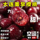 祁語(yǔ)順豐大連櫻桃美早黑珍珠桑提娜新鮮孕婦水果櫻桃國產(chǎn)車(chē)厘子禮盒 2.8g(凈重) 2.8斤高端禮盒 巨無(wú)霸 3J