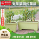 愛(ài)麗思大號花盆塑料深型果蔬種植盆戶(hù)外樹(shù)脂種菜盆帶排水網(wǎng) 500淺綠色