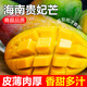 生活＆好管家海南貴妃芒果新鮮熱帶水果應季現甜心芒果頭茬孕婦水果芒果禮盒 統貨直發(fā)(需催熟再食用) 4.5-5斤裝【100g+】——凈重4.5斤