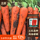 北蔬 胡蘿卜種子苗春季老品種蔬菜種籽 三紅五寸參胡蘿卜種子50g桶裝