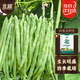 北蔬四季豆種子苗搭架豆角家庭陽(yáng)臺春季播種蔬菜種籽 四季豆種子200g