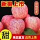【頭茬-爆甜】正宗現摘新鮮紅富士蘋(píng)果 新鮮時(shí)令蘋(píng)果整箱+ 單果75-85mm  5斤帶箱(凈重4.5斤)