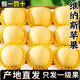京地達山東維納斯蘋(píng)果凈重9斤單果210g 黃金奶油富士 源頭直發(fā)包郵