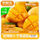 京鮮生海南小臺農芒果 凈重4.5斤 單果70g+ 新鮮水果 源頭直發(fā)