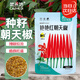 菜禾地朝天椒種子苗特辣小米椒陽(yáng)臺盆栽菜種籽 艷艷紅朝天椒種子300粒