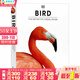 DK鳥(niǎo)類(lèi)世界百科全書(shū) 英文原版 Bird: The Definitive Visual Guide 精裝大開(kāi)插圖書(shū) 鳥(niǎo)類(lèi)攝影愛(ài)好者 鳥(niǎo)類(lèi)生活習性科普書(shū) 鳥(niǎo)類(lèi)生物學(xué)