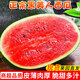 春福樂(lè )新鮮黑美人西瓜當季水果整箱時(shí)令薄皮大西瓜沙瓤甜西瓜麒麟瓜包郵 凈重4-5斤一個(gè)瓜丨雙層防護