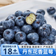 京地達藍莓丹東花香藍莓新鮮水果120g*4盒大果18mm+源頭直發(fā)包郵