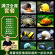 云峰海瑞 觀(guān)賞螺水族活體缸壁除藻螺魚(yú)缸除藻清淤活化床底 滿(mǎn)漢全席套餐（共12只）