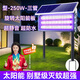 歲藝太陽(yáng)能滅蚊燈蓄電式戶(hù)外庭院別墅花園防水款驅蠅神器 250W