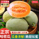 京地達海南哈密瓜蜜瓜甜瓜凈重7.5斤單果1500g+新鮮應季水果源頭發(fā)包郵