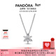 潘多拉（PANDORA）閃耀花朵標本吊墜項鏈頸飾璀璨簡(jiǎn)約生日禮物送女友 392387C01 45CM