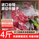 進(jìn)口谷飼原切牛腱子新鮮安格斯牛肉燉鹵紅燒生鮮年貨冷凍食材 谷飼原切牛腱子4斤