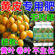 肥料黃皮果樹(shù)專(zhuān)用開(kāi)花掛苗地栽盆栽坐果增產(chǎn)液復合農用葉面營(yíng)養肥 康普紅【果掛滿(mǎn)枝】 20g 5袋