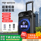 愛(ài)國者S55 8吋廣場(chǎng)舞音響大功率便攜式戶(hù)外重低音藍牙音箱k歌大音量移動(dòng)拉桿音箱室外演出設備 雙麥克風(fēng)