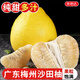 京地達柚子梅州沙田柚正宗廣東梅縣金柚凈重8斤單果750g+水果源頭發(fā)包郵