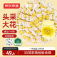 京東京造鮮來(lái)多菊花茶100大朵 金絲皇菊菊花特茶級完整獨立小包裝實(shí)惠60g