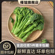 槿饈西蘭苔500g 新鮮蘭花苔 手指西蘭花西蘭臺 寧夏甜桿西蘭花 青花苔 500g