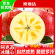 京地達阿克蘇冰糖心蘋(píng)果水果新疆富士送禮凈重8斤單果250g+源頭直發(fā)包郵