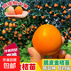 脆蜜金桔苗脆皮金桔樹(shù)苗新品種脆蜜金柑無(wú)籽新品種融安大甜果樹(shù)苗 脆蜜金桔(大果) 三年苗帶土帶葉發(fā)貨