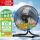鉆石牌臺式趴地扇搖頭風(fēng)扇家用落地扇強力工業(yè)風(fēng)扇臺地扇大功率商用電風(fēng)扇TF1601