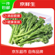 京鮮生云南新鮮西蘭苔 長(cháng)桿西蘭苔 清甜脆嫩 加冰保鮮凈重2.5斤源頭直發(fā)
