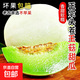 正宗海南玉菇甜瓜當季新鮮現摘水果整箱包郵冰淇淋小香瓜蜜瓜脆瓜 香甜玉菇甜瓜帶箱5-6斤【凈重4.5-5斤】