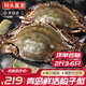 【活蟹發(fā)貨】青島梭子蟹鮮活特大野生大螃蟹螃蟹新鮮海蟹飛蟹禮盒 鮮活超大梭子蟹2斤【3-6只】