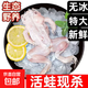 牛蛙特大鮮活現殺免處理田雞麻辣牛蛙蛙腿生鮮半成品冷凍燒烤凈重 去皮去頭去內臟【每斤稱(chēng)4-5只】 大號牛蛙【無(wú)冰5斤】活蛙現殺
