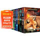 沈石溪動(dòng)物小說(shuō)鑒賞全8冊 狼王象王鷹王火焰冰月光森林猴王豺王狗王動(dòng)物世界科普百科全書(shū)小學(xué)生課外書(shū)兒童文學(xué)課外讀物 兒童年貨節送禮