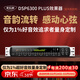 麥樂(lè )迪DSP6300 Plus前級混響器效果器音頻處理器含話(huà)筒 專(zhuān)業(yè)k歌舞臺家用會(huì )議卡拉ok防嘯叫調音臺均衡器 DSP6300 PLUS效果器(藍牙版含線(xiàn)材)