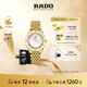 雷達（RADO）瑞士手表庫克船長(cháng)機械女表設計師款「金虹庫克」