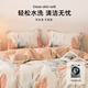 潔麗雅（grace）全棉枕套48x74cm100純棉一對(duì)裝雙人家用枕巾枕芯套宿舍單人枕頭套 清雅【全棉枕套100%全棉】 48×74cm【一對(duì)裝】