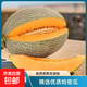 【商超品質(zhì)】正宗海南哈密瓜西州蜜瓜薄皮爆甜新鮮水果 4-5斤裝（1-2粒）