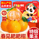 京地達四川耙耙柑粑粑柑春見(jiàn)耙耙柑應季水果 凈重9斤單果85mm源頭直發(fā)