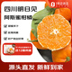 趣嘗鮮 四川明日見(jiàn)阿斯蜜柑橘 凈重5斤 單枚70mm起 源頭直發(fā) 一件包郵