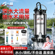 一冠潛水泵家用井水抽水泵220V不銹鋼農用污水泵灌溉澆菜大流量高揚程