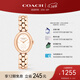 蔻馳（COACH）SAMMY系列 鋼帶石英女表 14504437 新年禮物/送禮