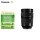 松下（Panasonic）24-70mm F2.8全畫(huà)幅微單/單電/無(wú)反相機鏡頭 恒定大光圈變焦鏡頭 風(fēng)景人像多場(chǎng)景拍攝 L卡口 S-E2470GK