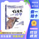 2026春季書(shū)香共讀三年級伊索寓言下金蛋的雞克雷洛夫寓言青蛙和牯?；ǖ膶W(xué)校牧羊犬阿甲胡蘿卜先生的長(cháng)胡子小布頭奇遇記勇敢的足跡 《牧羊犬阿甲》