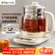 小熊（Bear）養生壺 1.5L煮茶壺燒水壺 可拆卸茶籃 煮茶器電水壺 恒溫電熱水壺 保溫花茶壺 YSH-E15W7 