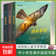 山居歲月三部曲 驚風(fēng)的山遠山深處系列小學(xué)生三四年級課外書(shū)必讀上冊老師五六年級閱讀書(shū)目推薦外國兒童文學(xué)中文版9-12歲 山居歲月三部曲（3冊）