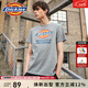 Dickies夏季情侶款短袖男經(jīng)典logo印花短袖TEE休閑男裝DK007088 中羽灰 M