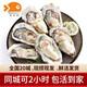 喵和漁鮮活生蠔 牡蠣子特大海鮮貝類生蠔燒烤食材 5kg（4-5兩 20-28只）不可生食