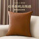 駱易家皮革抱枕防貓抓輕奢客廳沙發(fā)靠墊床頭靠枕套定制靠背墊 【皮革抱枕】陌野-棕色 含枕芯 【定制專(zhuān)拍】
