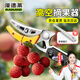 漫德萊摘果神器伸縮桿高空修樹(shù)枝多功能摘果器荔枝采摘神器3米高枝剪