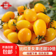 【東東買(mǎi)菜】香芒皇后小番茄新鮮黃色千禧圣女果孕婦當季超甜爆汁 精選新鮮 4斤 泡沫箱包裝