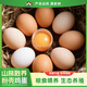 三德子鮮雞蛋 產(chǎn)地直發(fā)糧食喂養新鮮雞蛋禮盒 10枚粉殼雞蛋