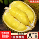 京喜加泰國金枕榴蓮鮮果進(jìn)口京東鎖鮮新鮮水果一級果應季巴掌肉 【壞果包賠】精選家庭裝凈重8~10斤(1-4顆)