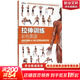 【3冊】肌肉力量訓練圖譜+拉伸訓練彩色圖譜+無(wú)器械力量訓練彩色圖譜 運動(dòng)健身健美訓練書(shū)籍  新華書(shū)店正版包郵 拉伸訓練彩色圖譜